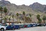 100 IMG_2954