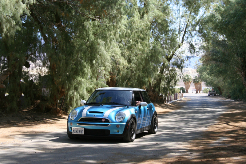 2007 AMVIV 113