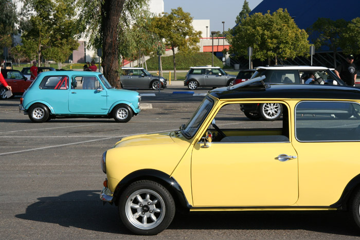 LB MINI rally 04