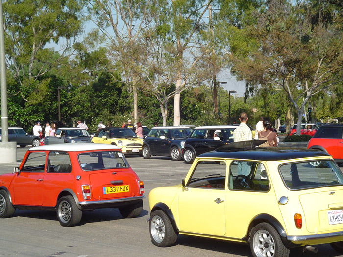 LB MINI rally 13
