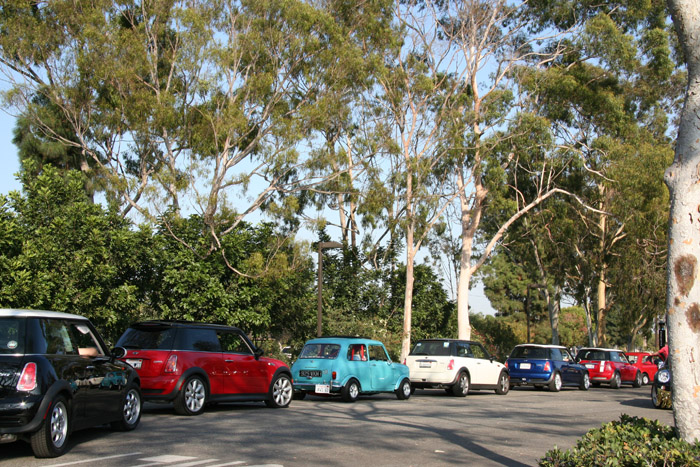 LB MINI rally 31