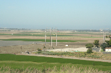 MOAT 2006053