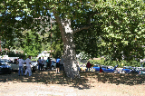 MOAT 2006159