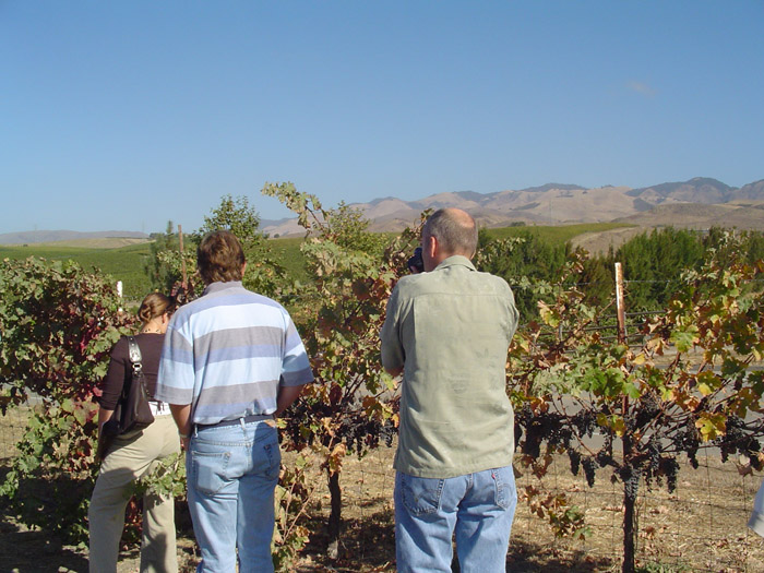 011 SLO wine tour