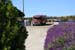 052 SLO wine tour