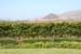 056 SLO wine tour