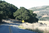 Solvang and more014