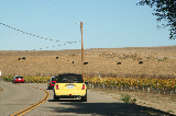 Solvang and more085