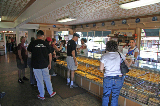Solvang and more208a