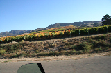 Solvang and more237